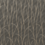 Sio Charcoal