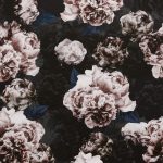 Belle Peony