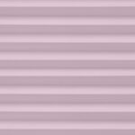 Evissa Lilac