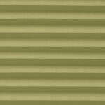 Scandi Olive