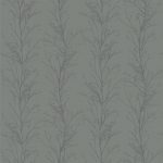 Treviso Graphite