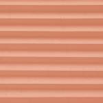 Mirabella Coral