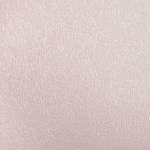 Glimpse Blush